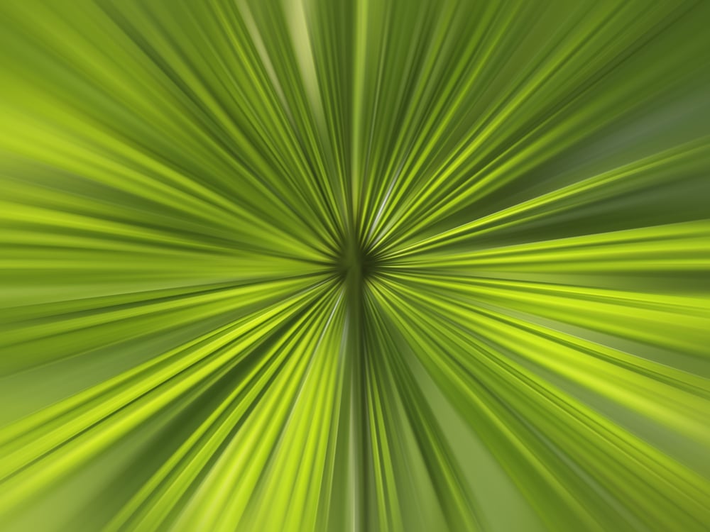 Abstract radial blur of palm leaves for decoration and background with motifs of origin and symmetry in nature