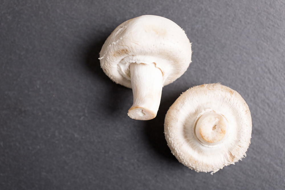 Fresh raw mushrooms on black slate